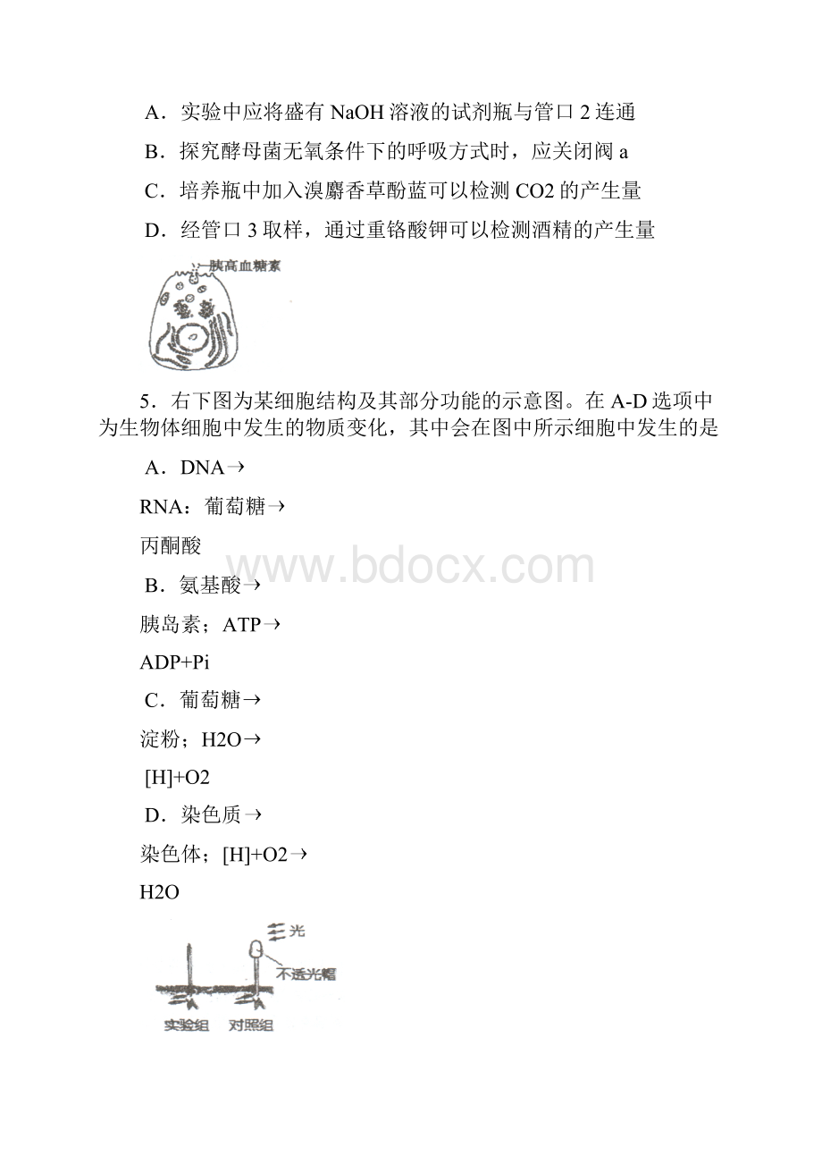 届天津市红桥区高三第一次模拟考试生物试题及答案.docx_第3页