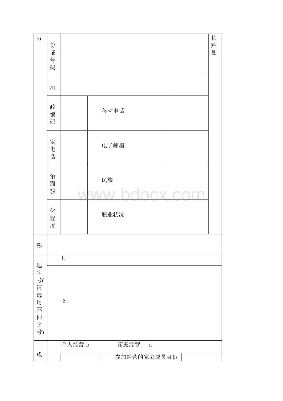 个体工商户表格.docx_第3页