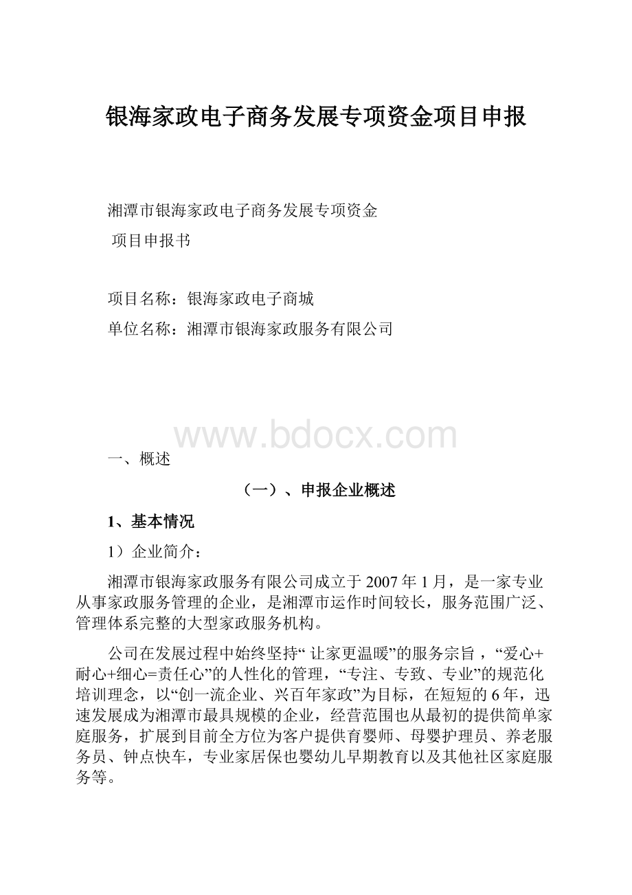 银海家政电子商务发展专项资金项目申报.docx