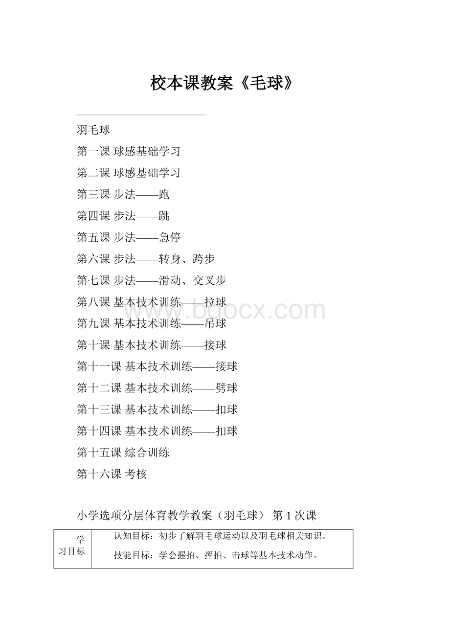 校本课教案《毛球》文档格式.docx