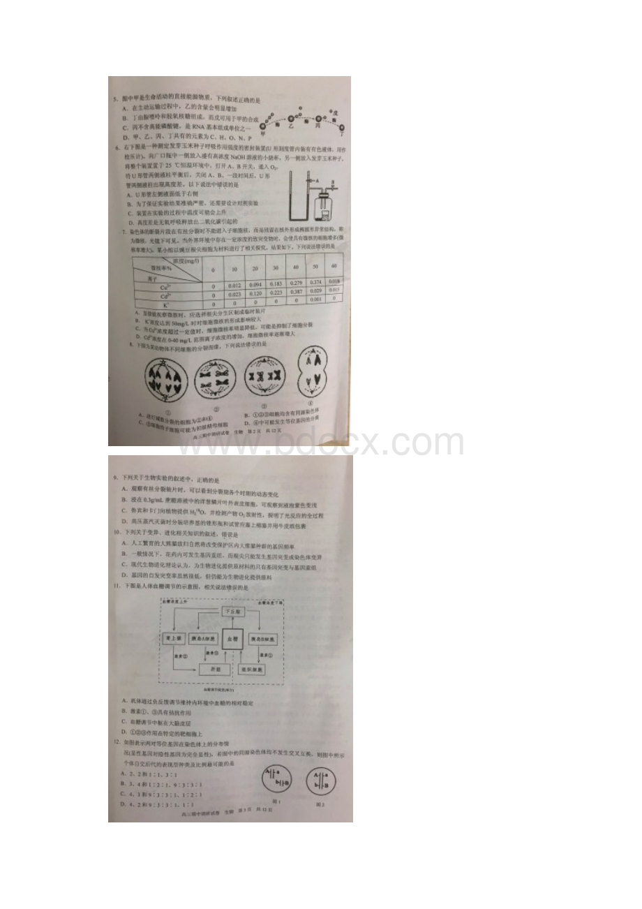 江苏苏州市届高三上学期期中调研生物试题扫描版.docx_第2页