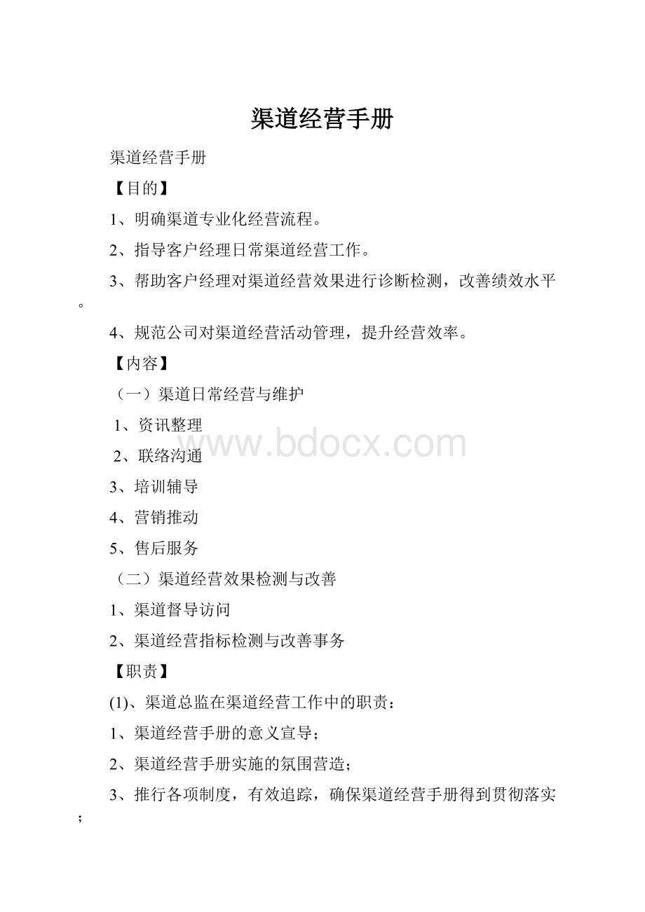 渠道经营手册文档格式.docx