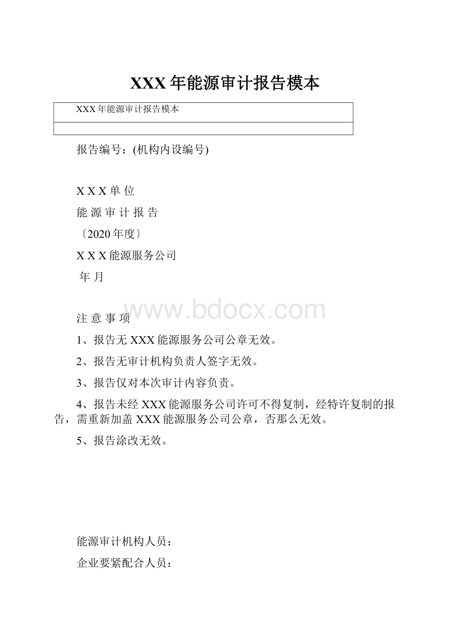 XXX年能源审计报告模本Word格式文档下载.docx_第1页