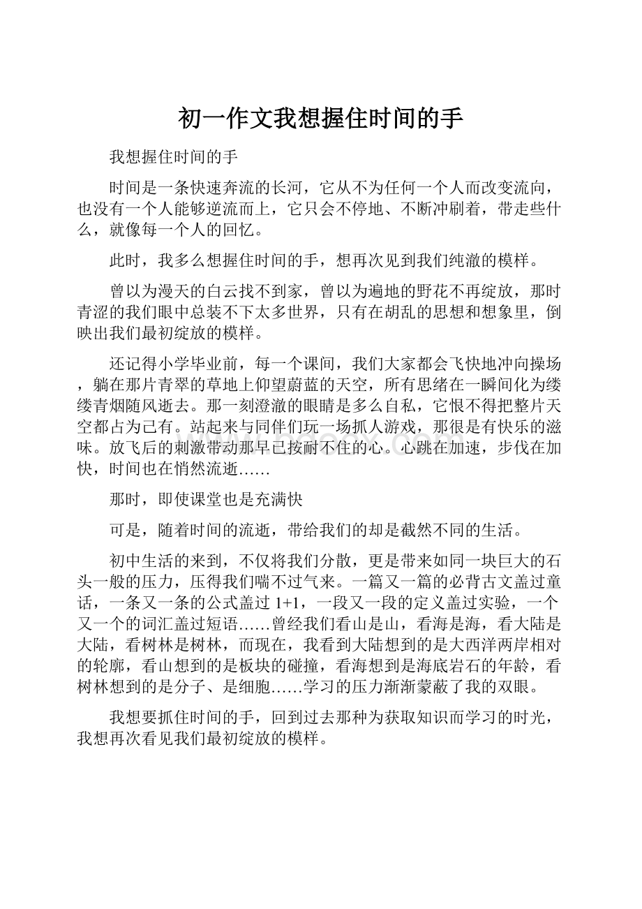 初一作文我想握住时间的手Word文件下载.docx