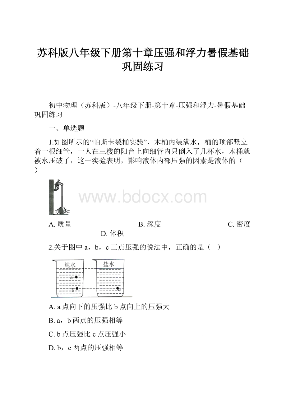 苏科版八年级下册第十章压强和浮力暑假基础巩固练习Word文档下载推荐.docx