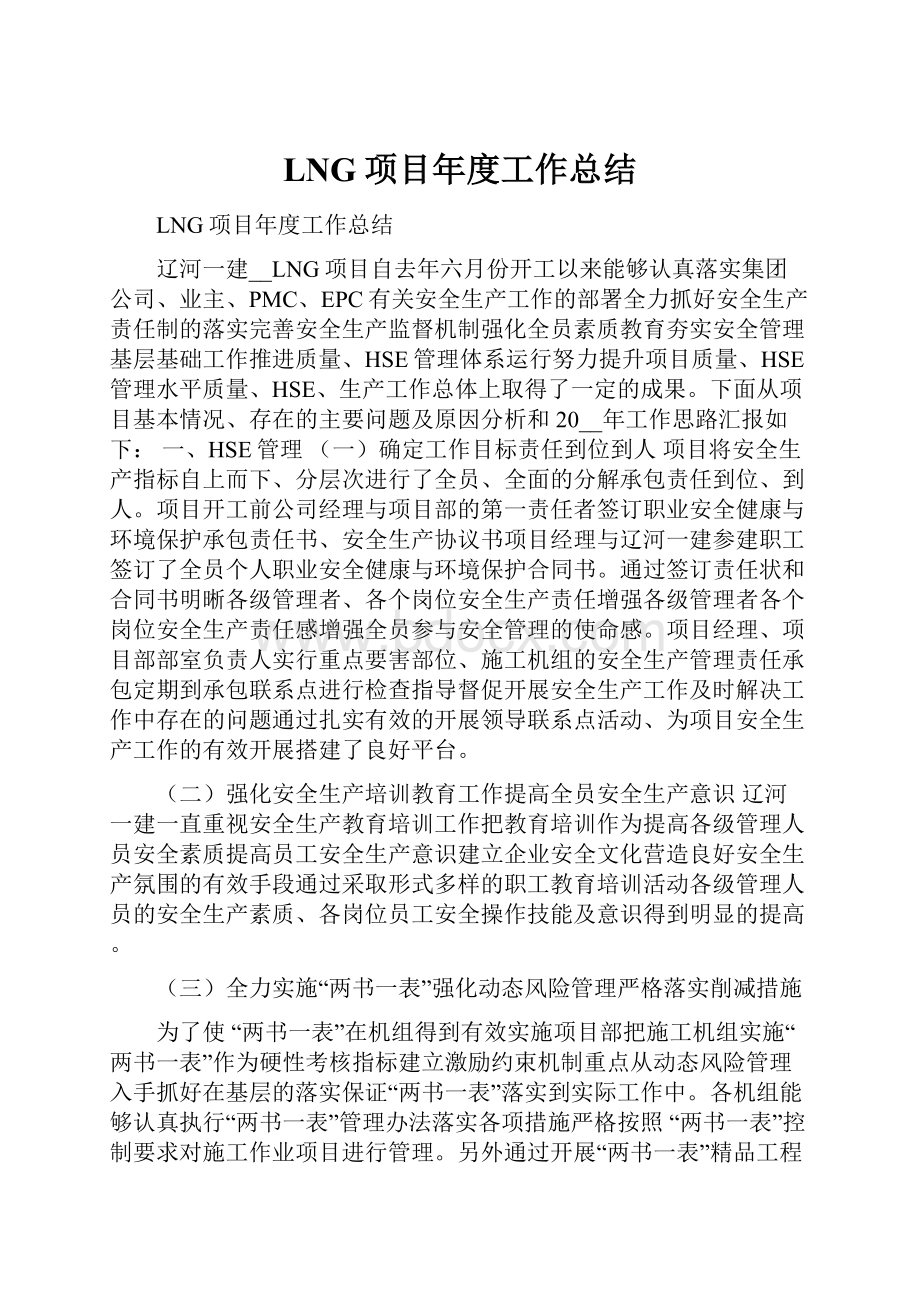 LNG项目年度工作总结.docx_第1页