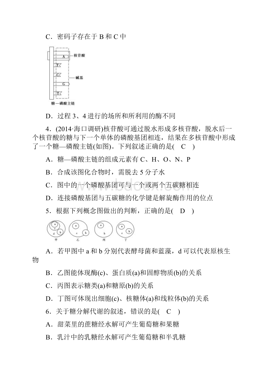 生物一轮复习核酸糖类脂质及细胞膜综合题Word文档格式.docx_第2页