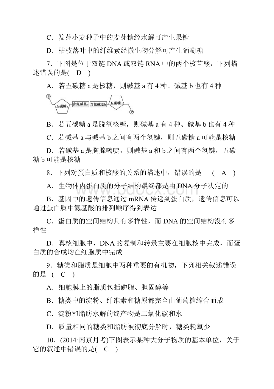 生物一轮复习核酸糖类脂质及细胞膜综合题Word文档格式.docx_第3页