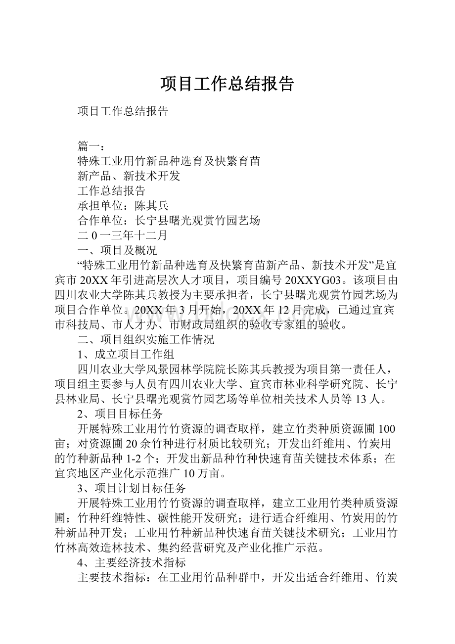 项目工作总结报告Word格式.docx