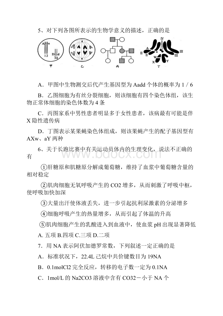 湖北省咸宁市四校届高三联考理科综合试题.docx_第3页