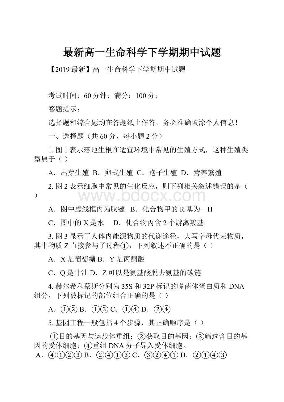 最新高一生命科学下学期期中试题.docx_第1页