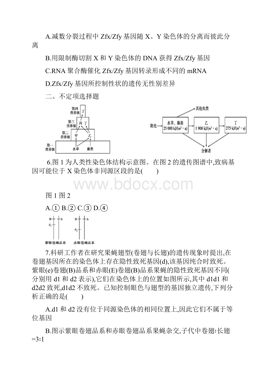 遗传规律与伴性遗传含人类遗传病作业含答案文档格式.docx_第3页