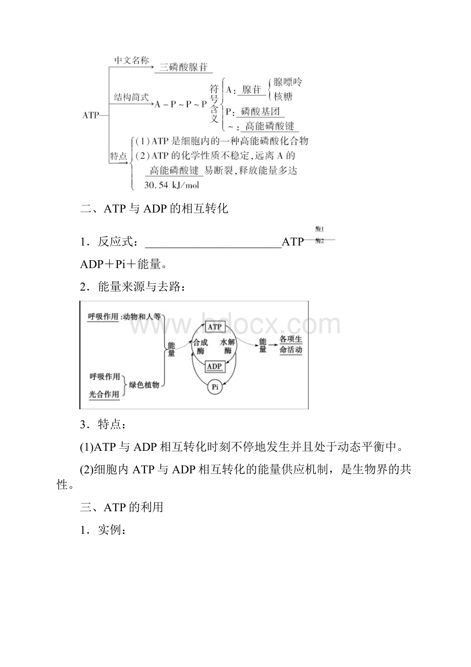 人教版生物必修一第五章 细胞的能量供应和利用 第2节 细胞的能量通货ATP Word版含答案Word文档下载推荐.docx_第2页