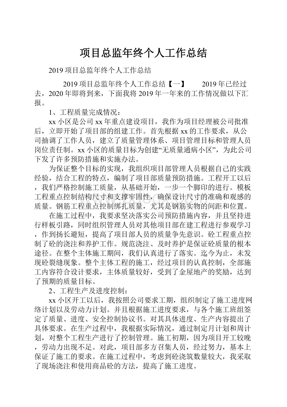 项目总监年终个人工作总结.docx_第1页