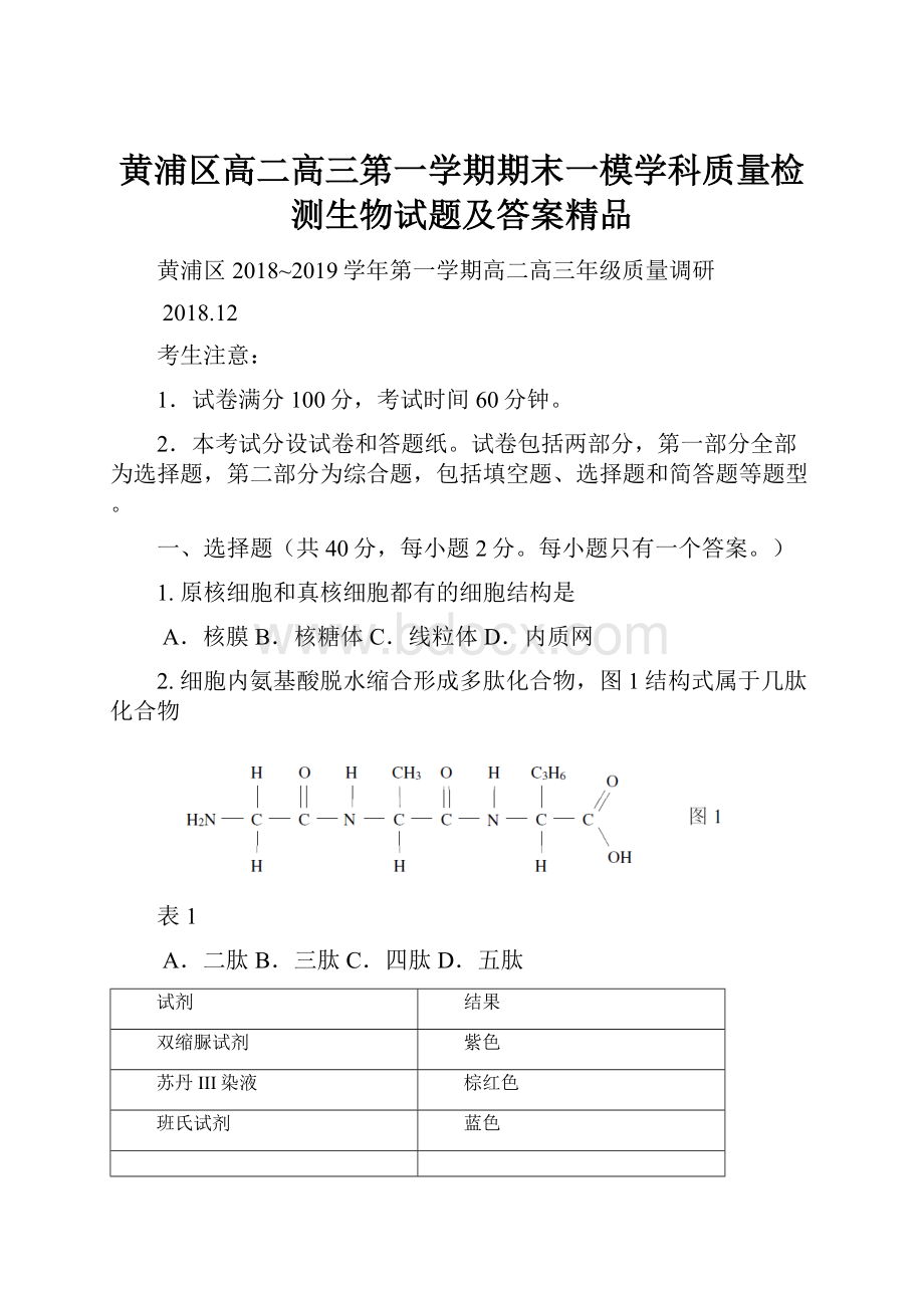 黄浦区高二高三第一学期期末一模学科质量检测生物试题及答案精品Word文件下载.docx