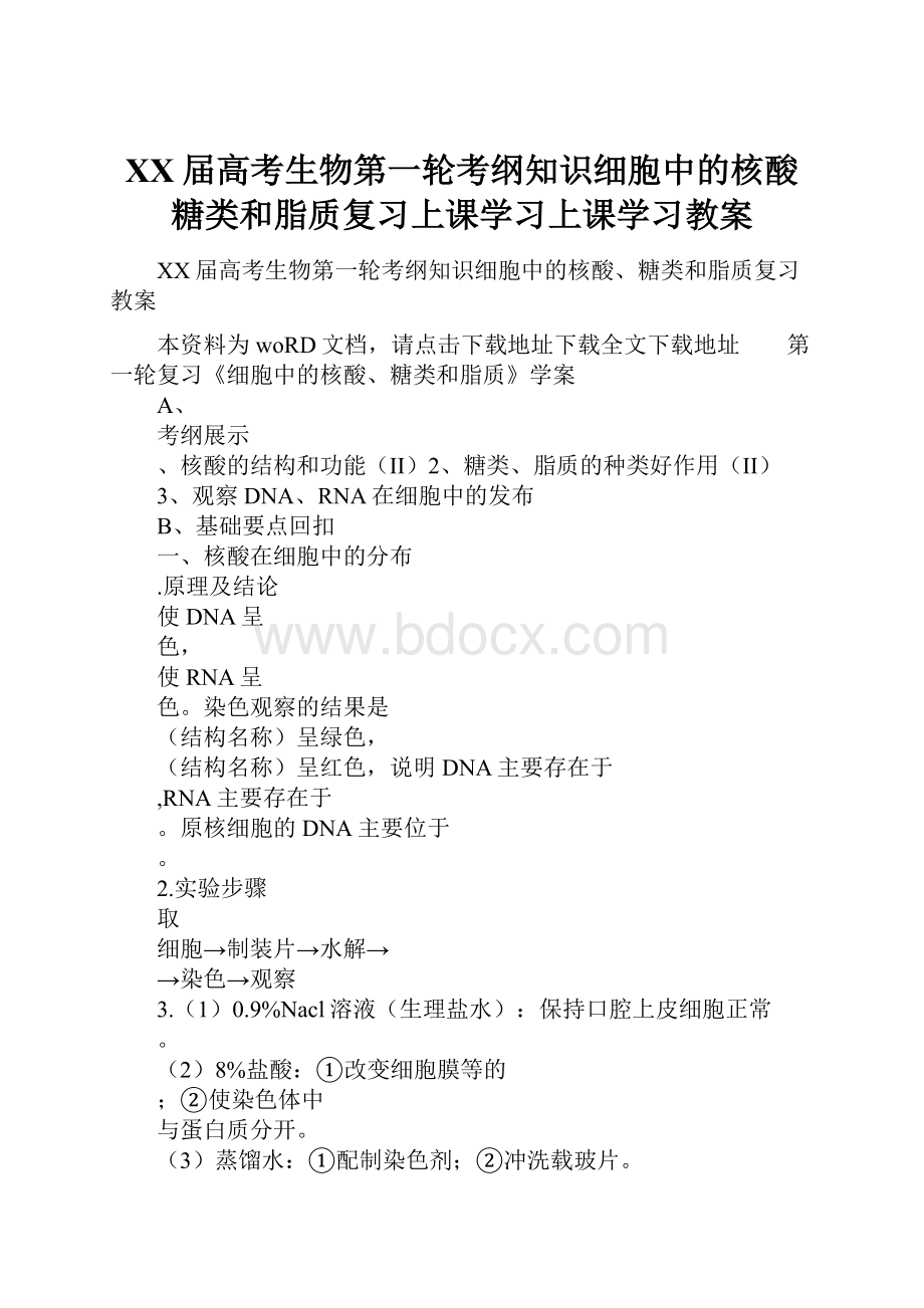 XX届高考生物第一轮考纲知识细胞中的核酸糖类和脂质复习上课学习上课学习教案.docx