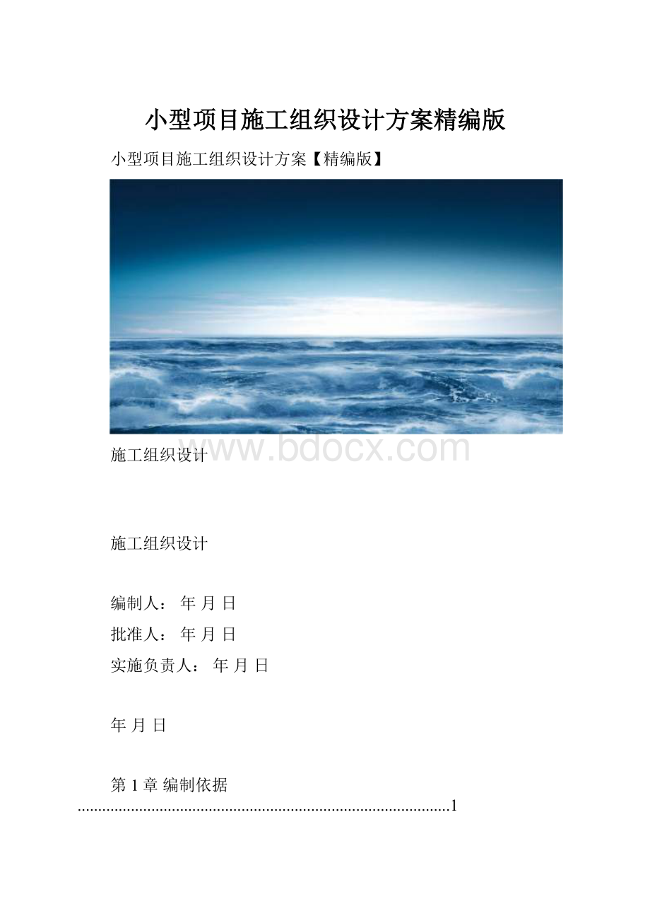 小型项目施工组织设计方案精编版文档格式.docx