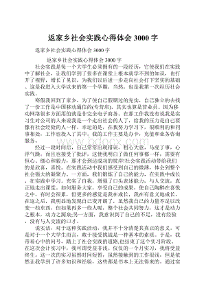 返家乡社会实践心得体会3000字Word下载.docx