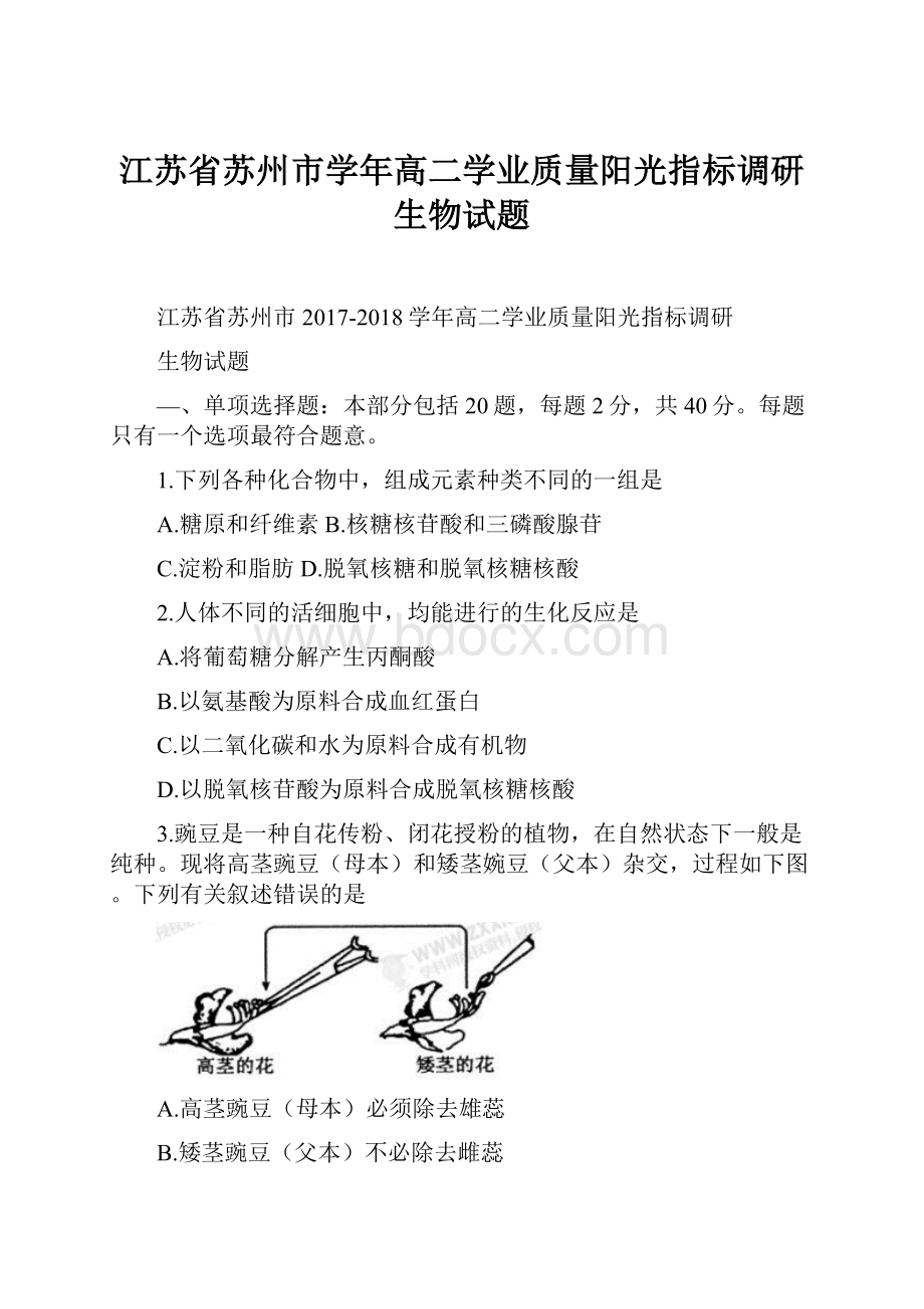 江苏省苏州市学年高二学业质量阳光指标调研生物试题Word文档格式.docx