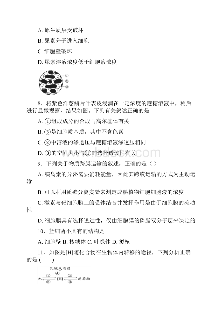 学年辽宁省六校协作体高一下学期开学考试生物试题.docx_第3页