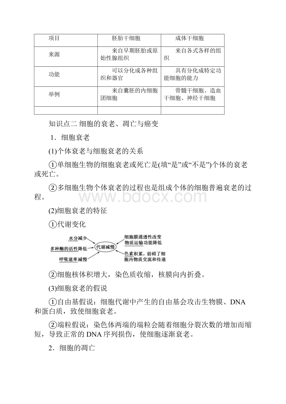 届高考生物一轮复习知识点讲解专题42 细胞的分化衰老凋亡和癌变含答案.docx_第3页