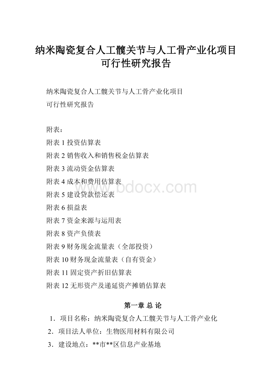 纳米陶瓷复合人工髋关节与人工骨产业化项目可行性研究报告.docx_第1页