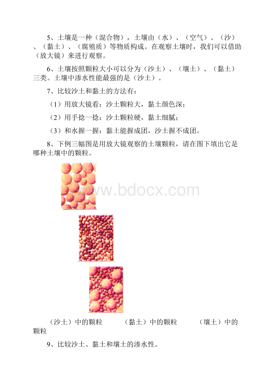 苏教版三年级科学下册复习资料.docx_第2页