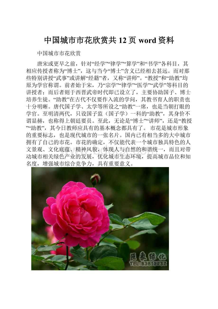 中国城市市花欣赏共12页word资料.docx_第1页