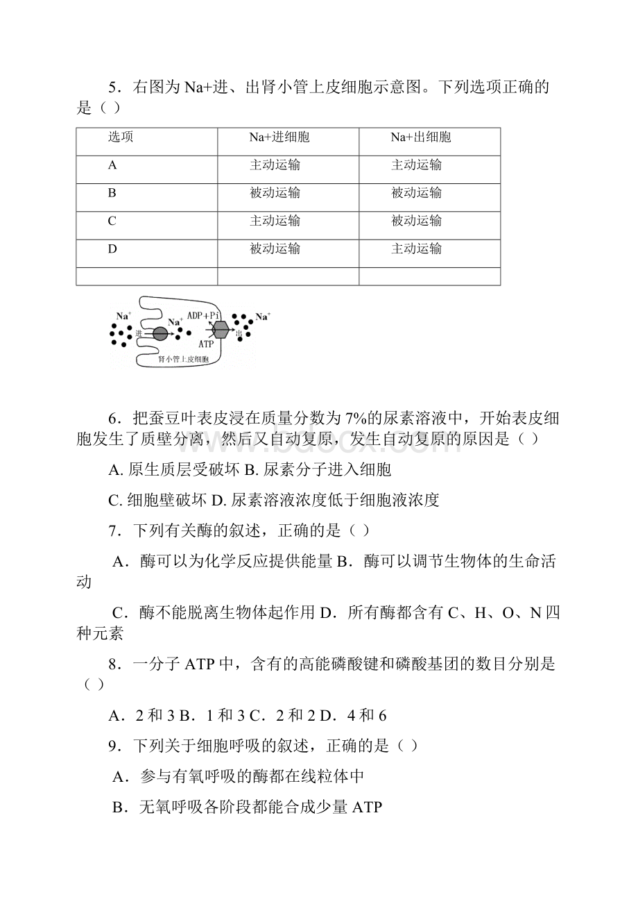 高二生物学业水平模拟最后一考试题.docx_第2页