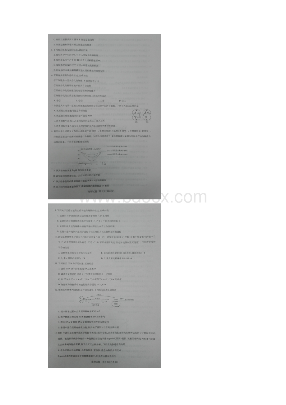 届河南省天一大联考高三上学期阶段性测试三生物试题.docx_第2页