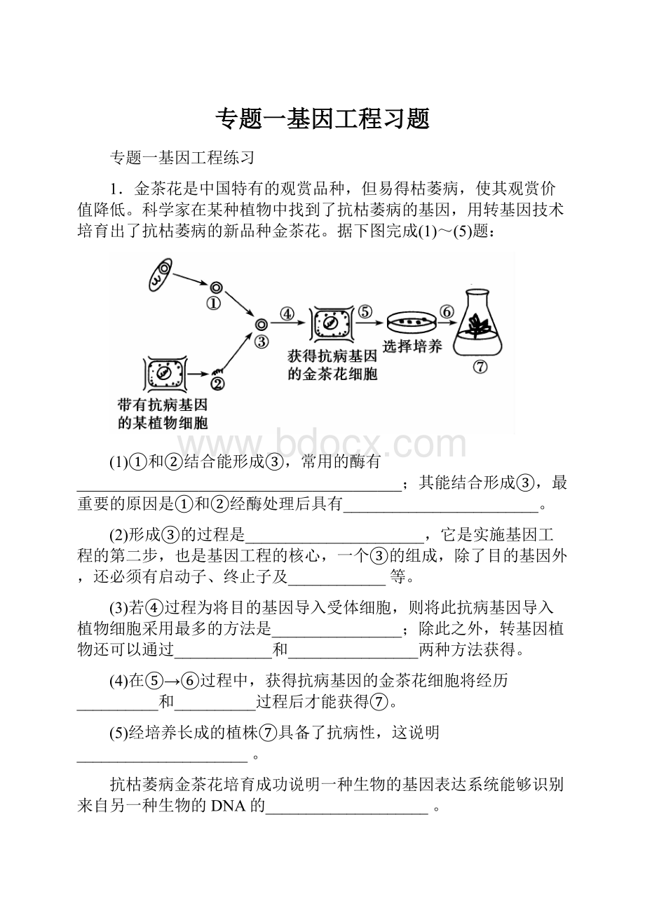 专题一基因工程习题Word文档格式.docx