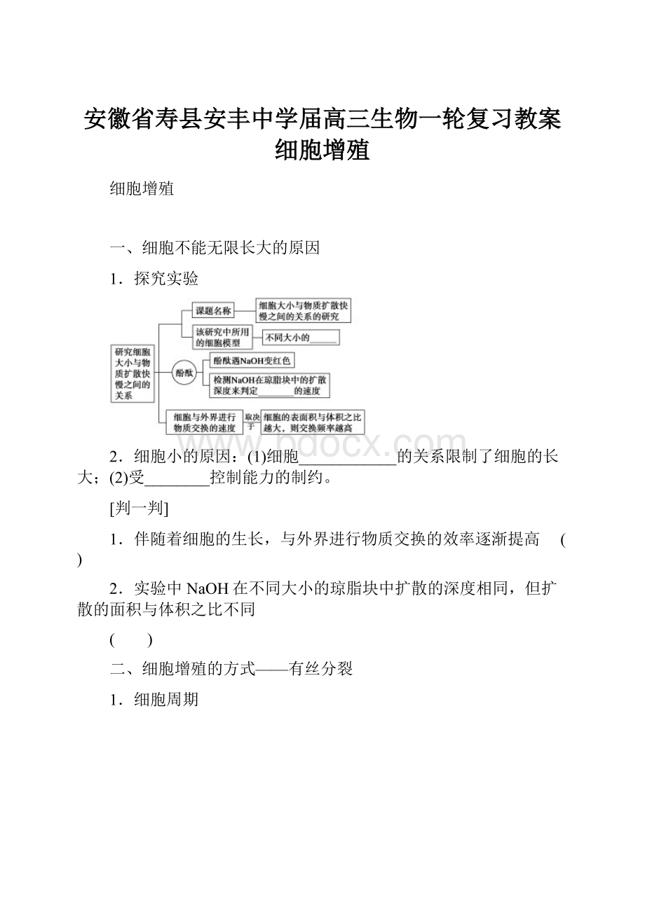 安徽省寿县安丰中学届高三生物一轮复习教案细胞增殖Word格式文档下载.docx_第1页