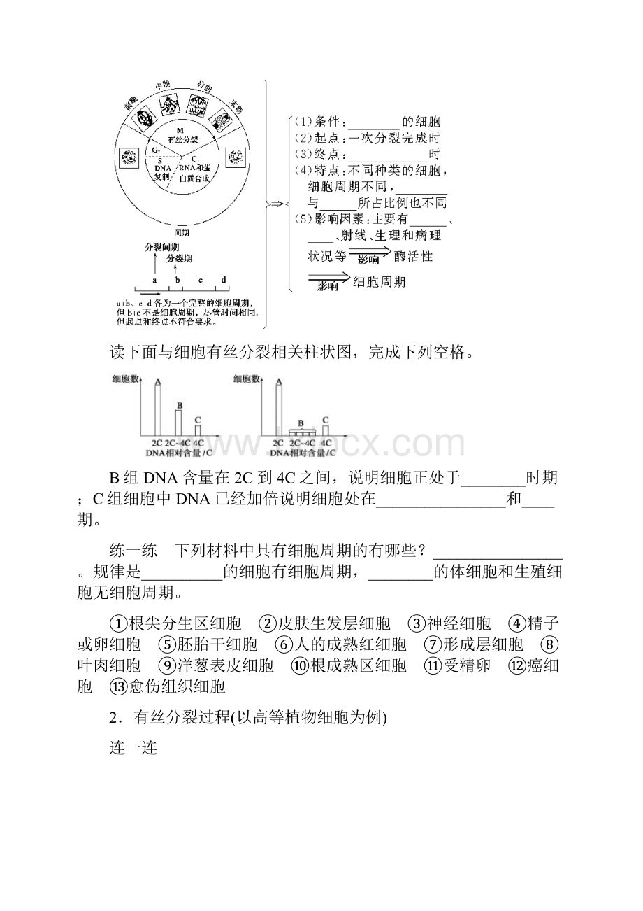 安徽省寿县安丰中学届高三生物一轮复习教案细胞增殖Word格式文档下载.docx_第2页