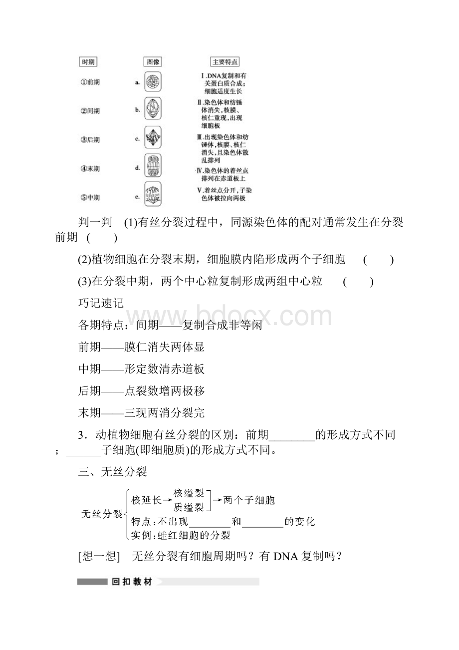 安徽省寿县安丰中学届高三生物一轮复习教案细胞增殖Word格式文档下载.docx_第3页