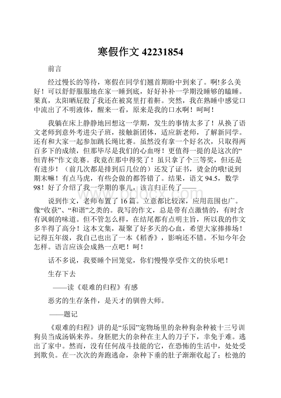 寒假作文42231854Word文档下载推荐.docx