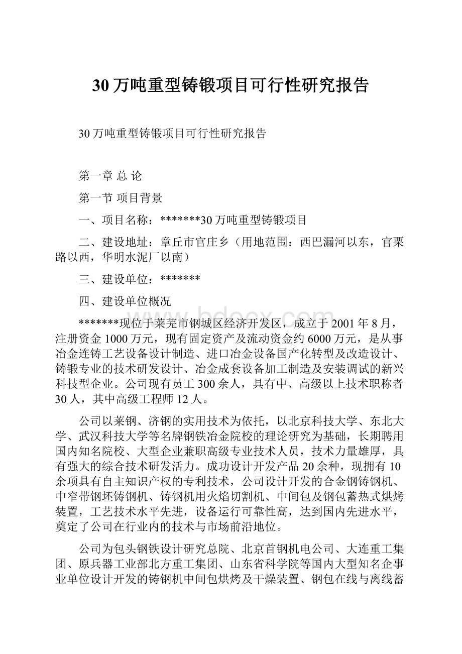 30万吨重型铸锻项目可行性研究报告.docx_第1页