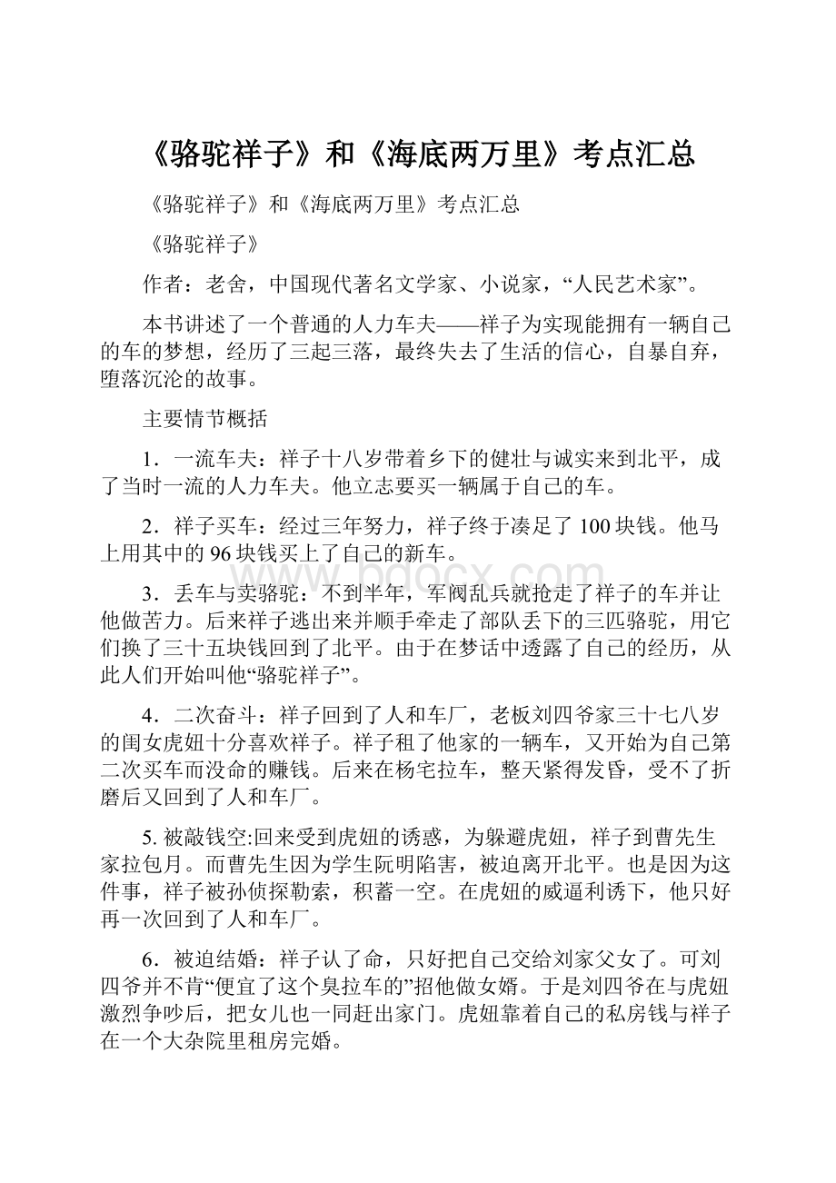 《骆驼祥子》和《海底两万里》考点汇总Word文档格式.docx