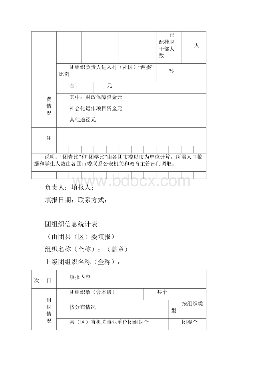 团组织信息统计表Word格式.docx_第3页