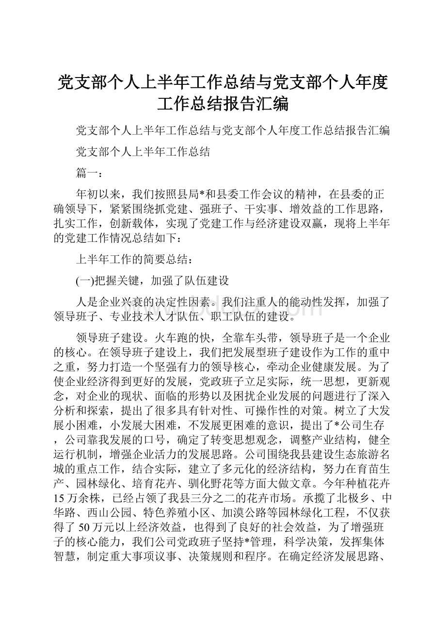 党支部个人上半年工作总结与党支部个人年度工作总结报告汇编.docx_第1页