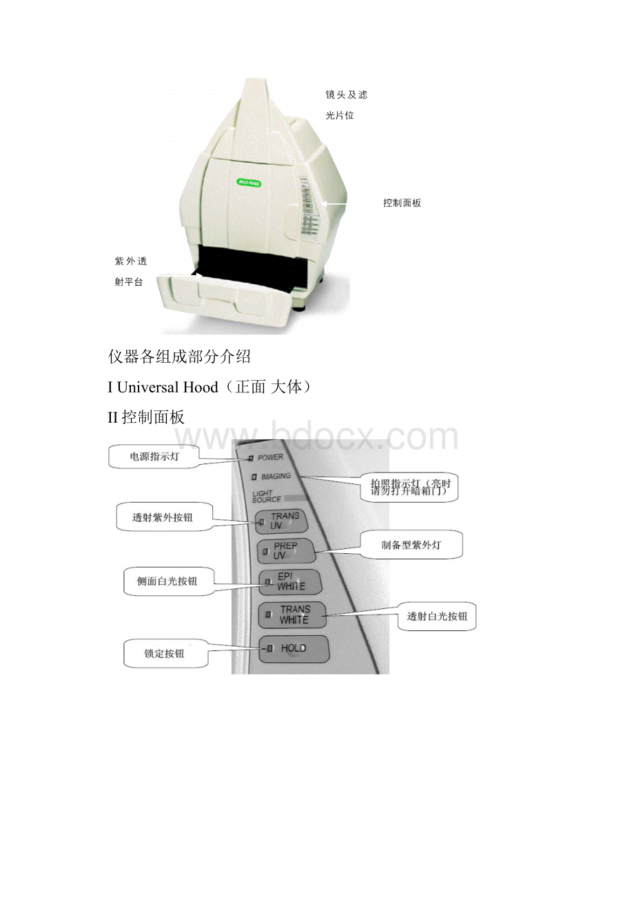 凝胶成像及QuantityOne使用说明.docx_第2页