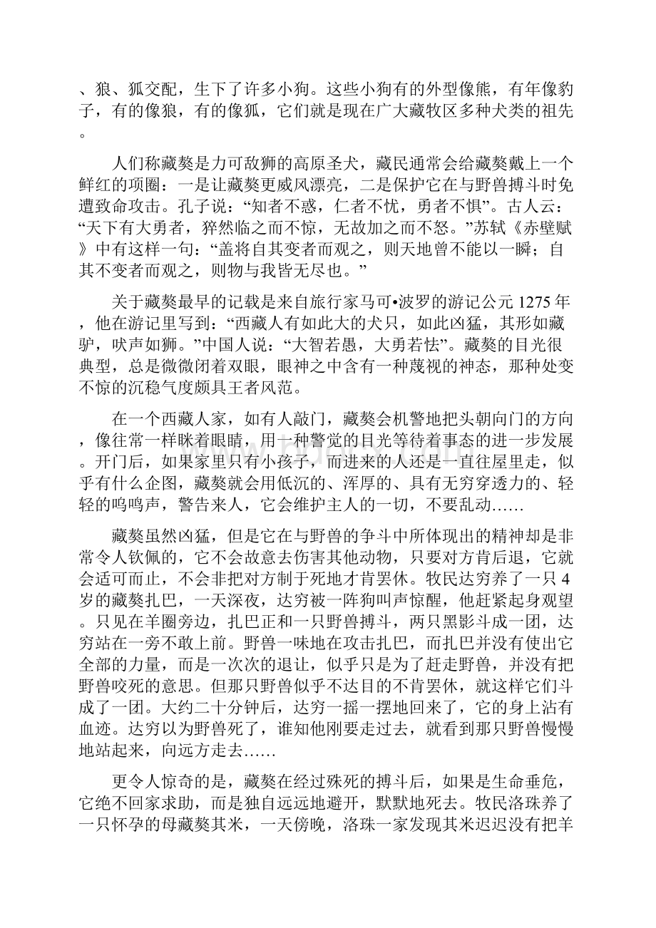 西藏的特征与文化.docx_第2页