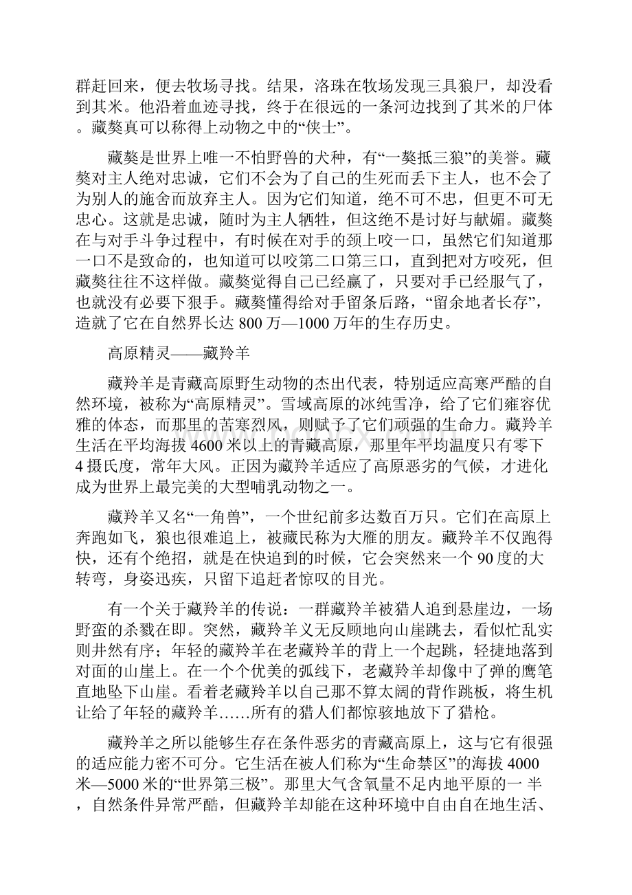 西藏的特征与文化.docx_第3页