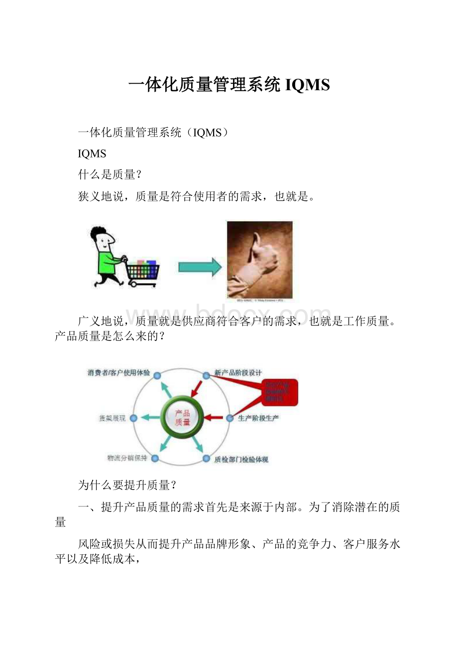 一体化质量管理系统IQMS.docx_第1页