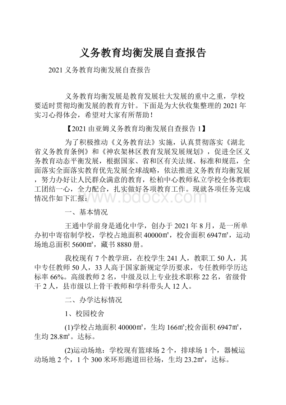 义务教育均衡发展自查报告Word格式.docx