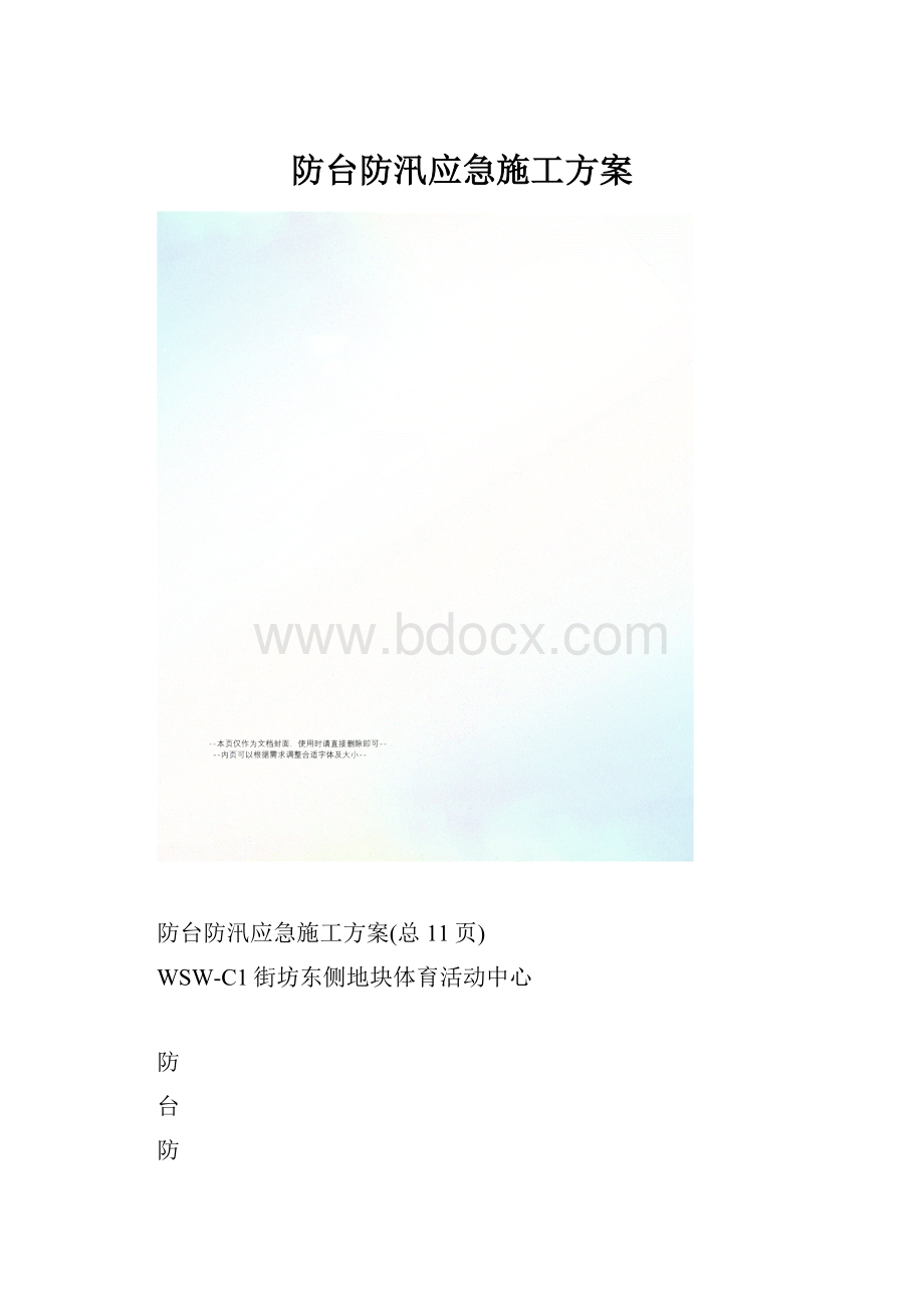 防台防汛应急施工方案文档格式.docx