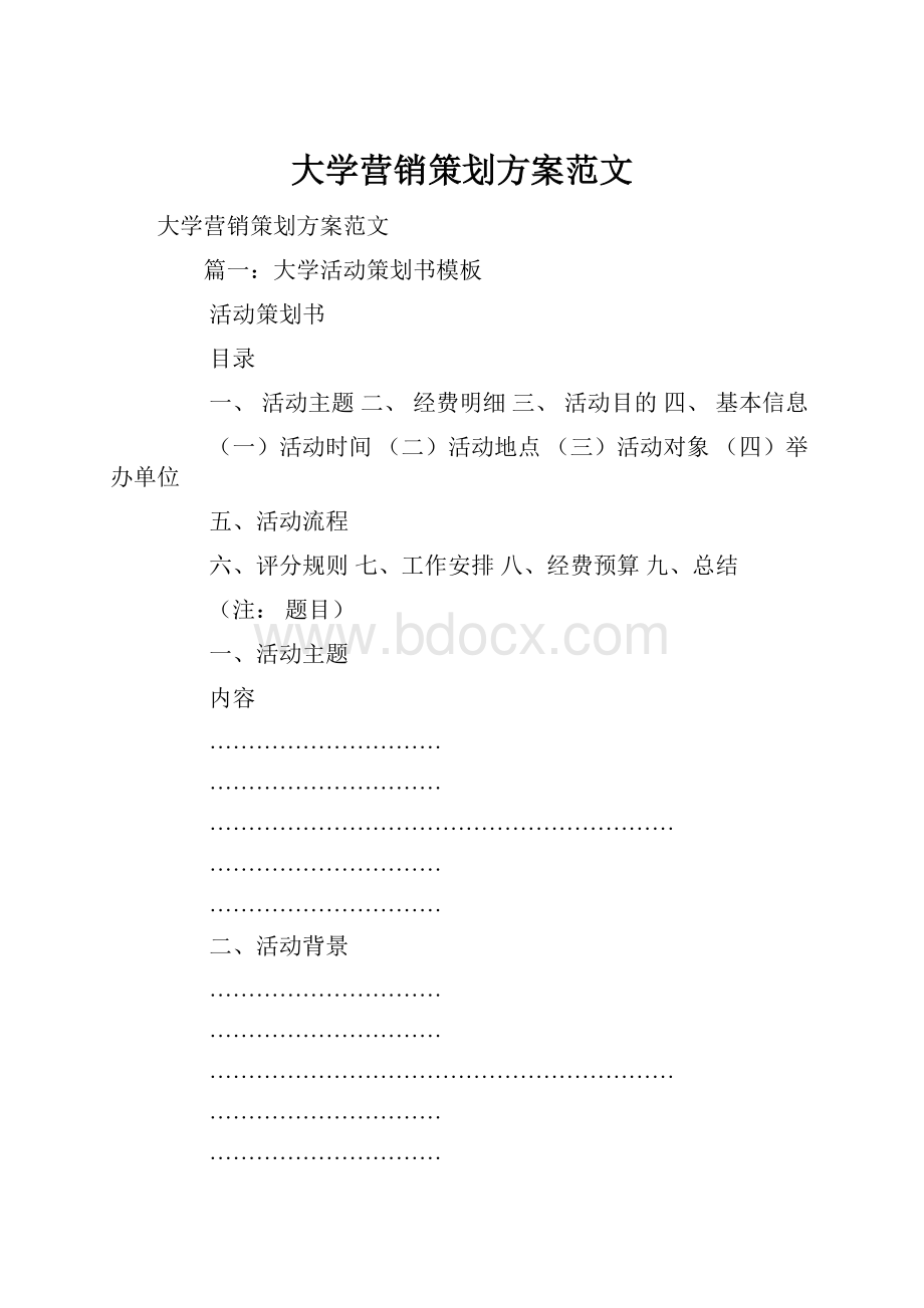 大学营销策划方案范文文档格式.docx