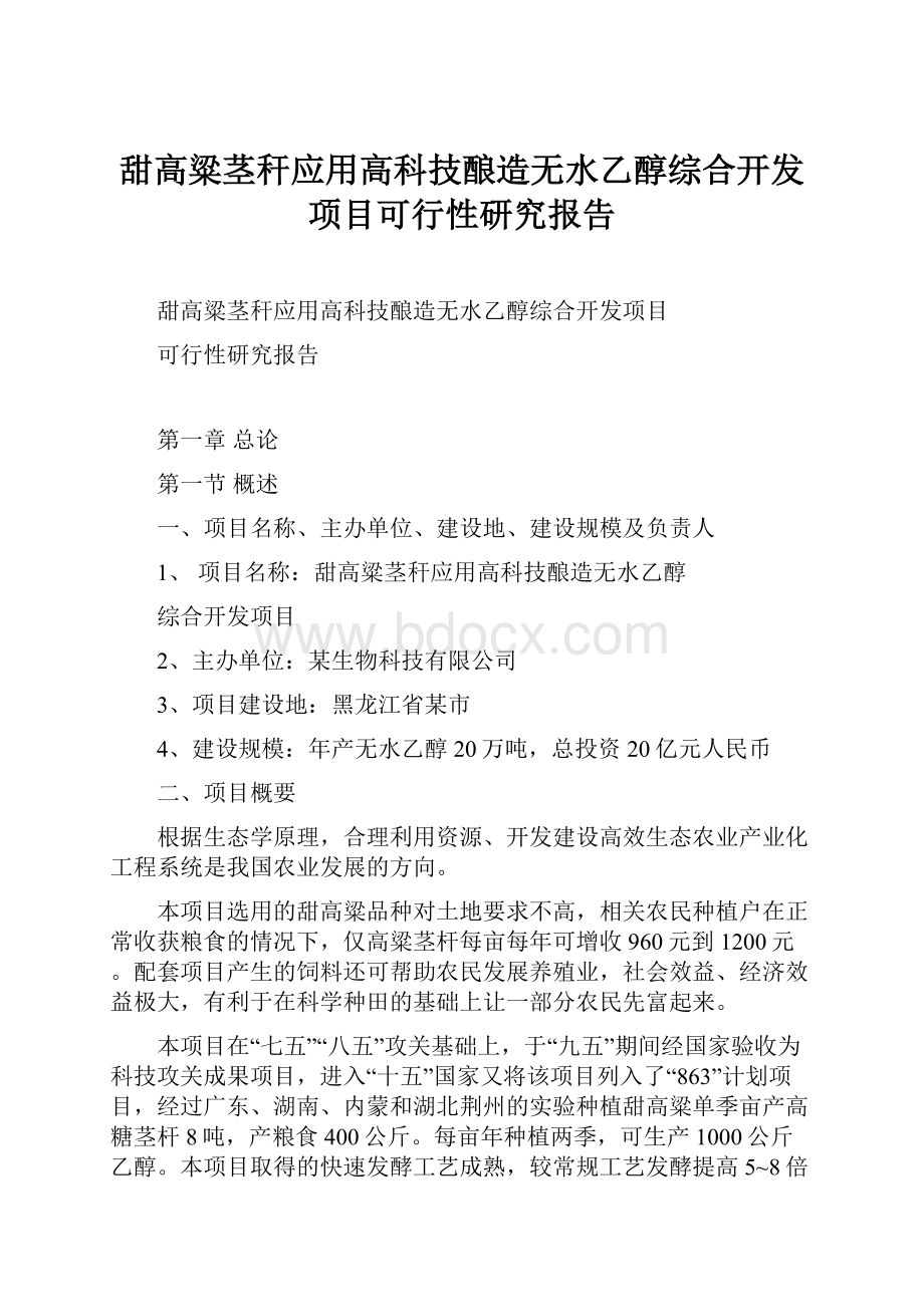 甜高粱茎秆应用高科技酿造无水乙醇综合开发项目可行性研究报告Word格式文档下载.docx