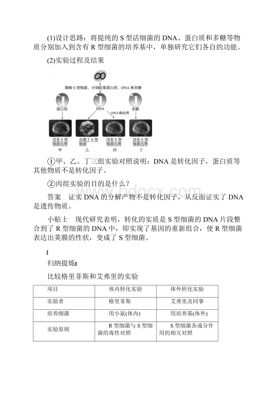 高中生物第2章遗传信息传递的结构基础第5课时DNA贮存遗传信息教学案北师大版.docx_第3页