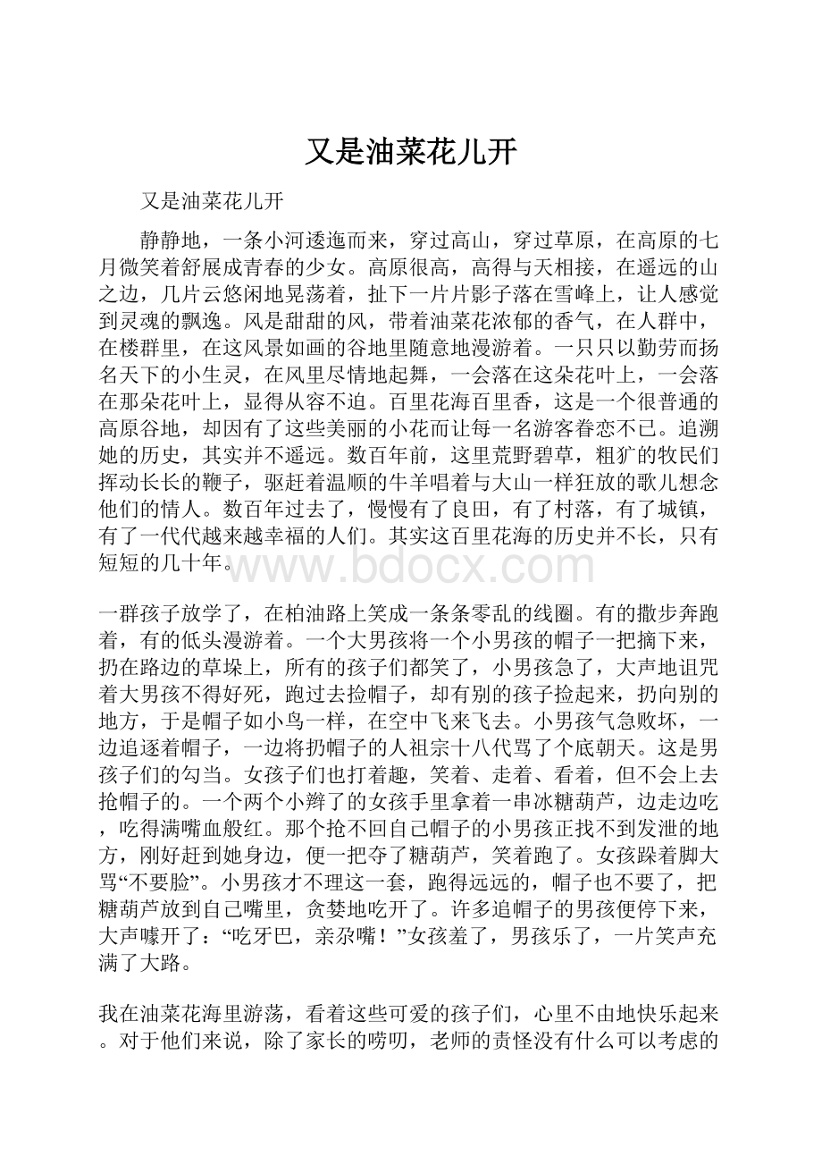 又是油菜花儿开Word格式文档下载.docx