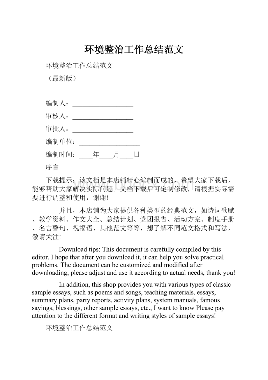 环境整治工作总结范文Word格式文档下载.docx